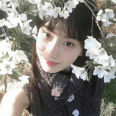 我的夏日恋曲