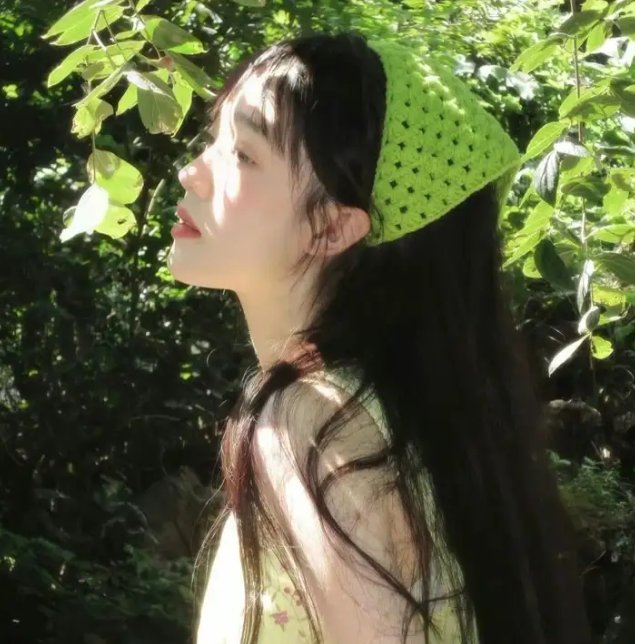 少女十五十六时