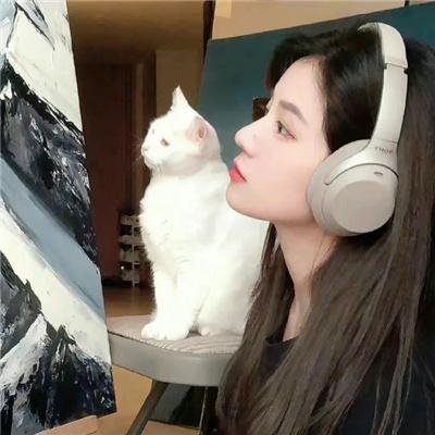 全美明星校花